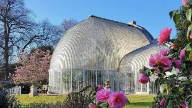 bicton park botanical gardens