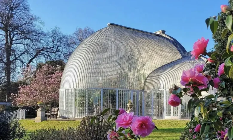 bicton park botanical gardens