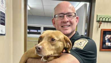 dog warden contact number
