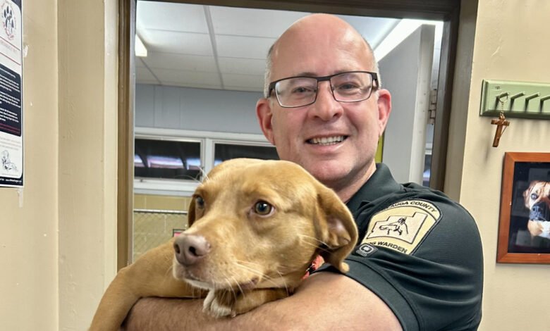 dog warden contact number