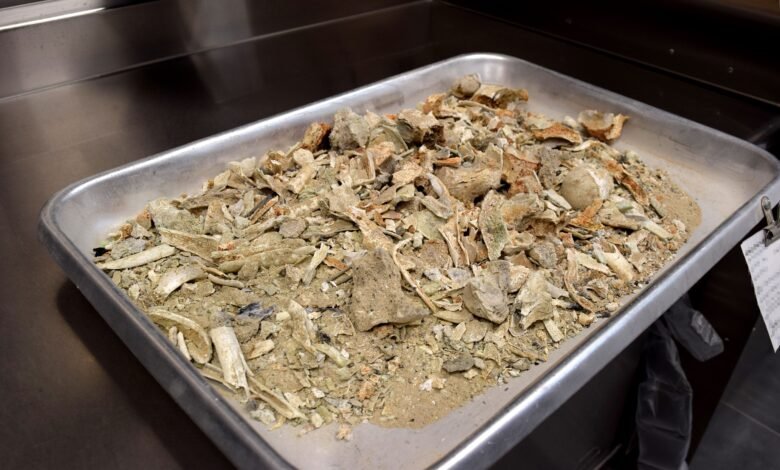 which part of the body does not burn during cremation