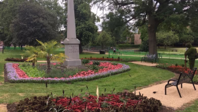 central park chelmsford