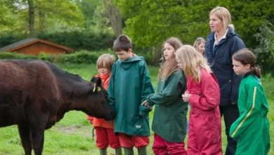 countryside education trust
