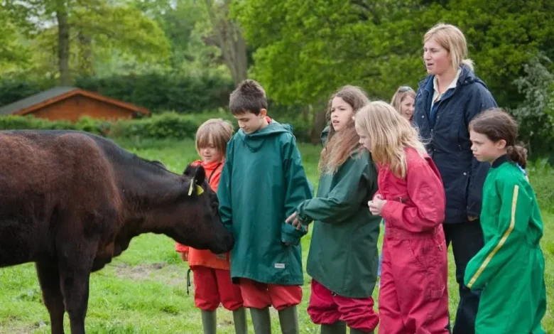 countryside education trust