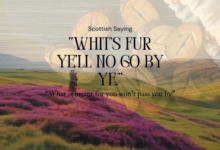 don't let what's for you go by you