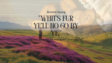 don't let what's for you go by you