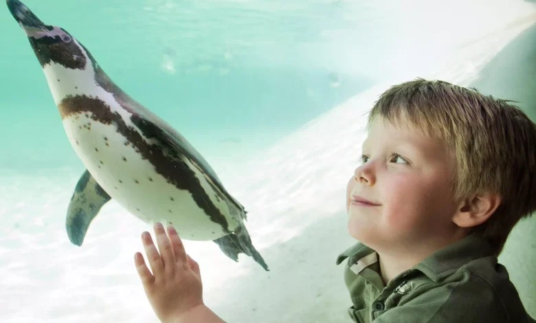 london zoo tickets universal credit