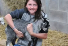 pili palas discount code