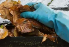 gutter cleaning chichester