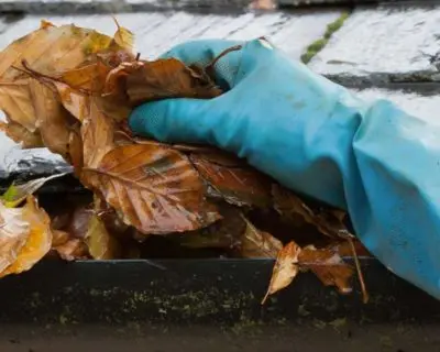 gutter cleaning chichester