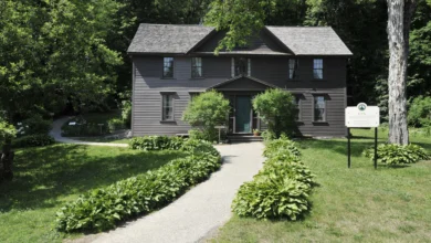 orchard house salfords