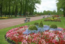 tees valley homefinder