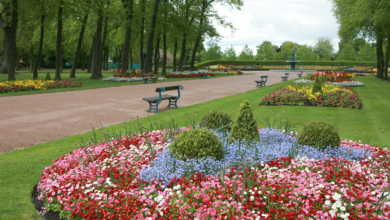 tees valley homefinder