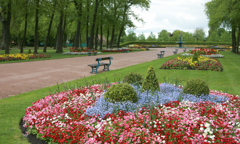 tees valley homefinder