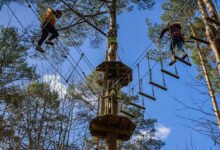go ape dalkeith