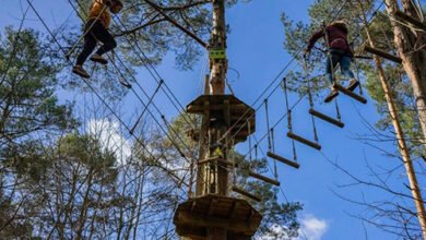 go ape dalkeith