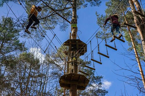 go ape dalkeith