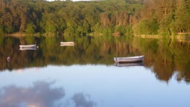 horwich and district fly fishing club